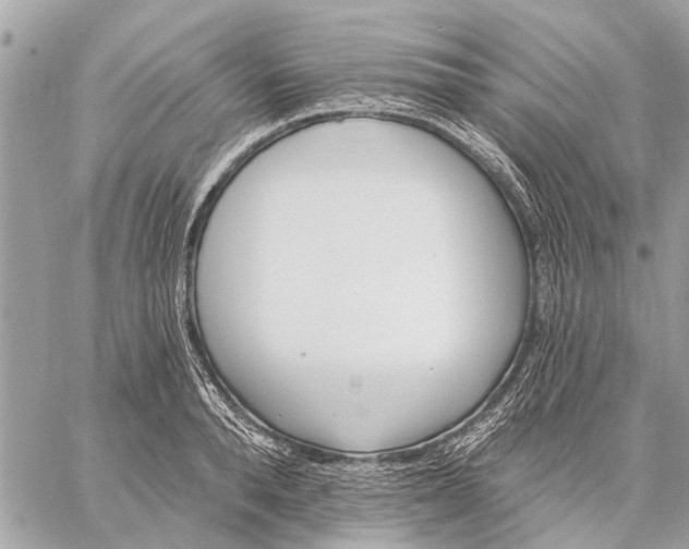 X0000059060896200510281629