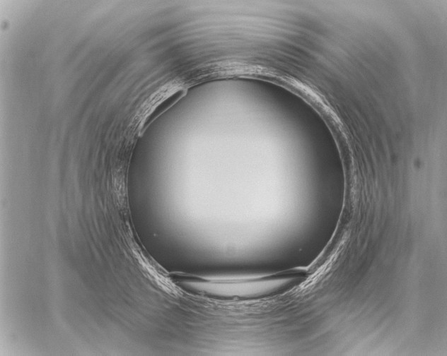 X0000059060897200510281629