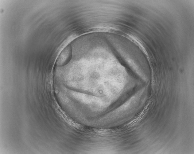 X0000059060899200510281629