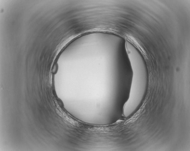 X0000059060900200510281629