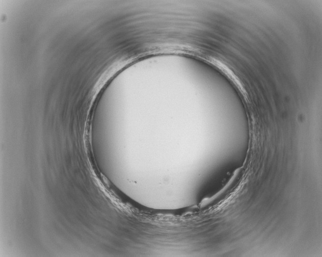 X0000059060901200510281629