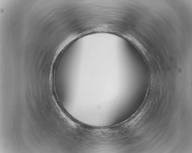 X0000059060902200510281629