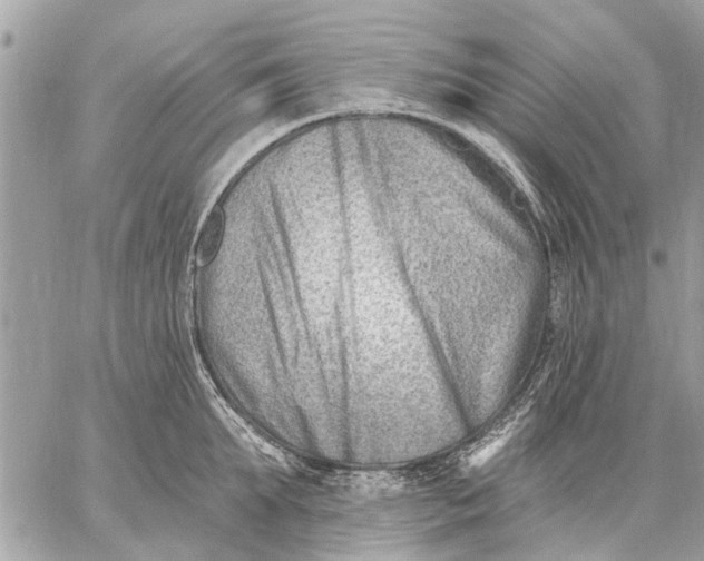 X0000059060903200510281629