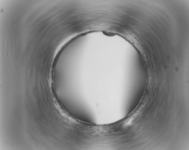 X0000059060904200510281629