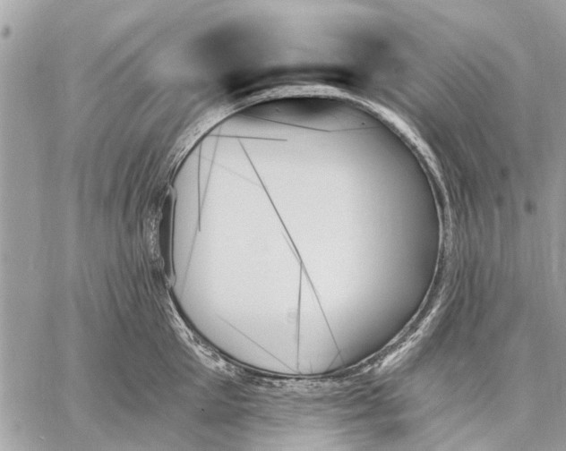 X0000059060905200510281629