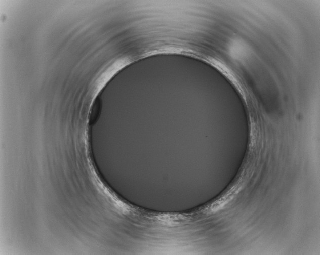 X0000059060906200510281629