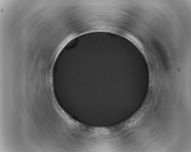 X0000059060907200510281629