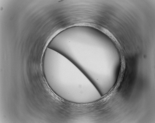 X0000059060908200510281629