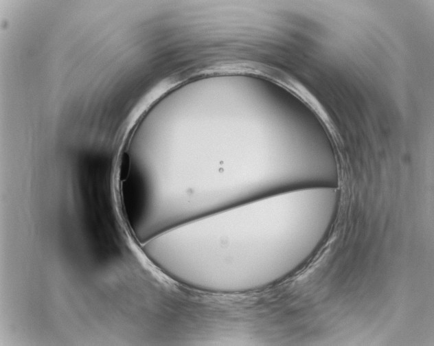 X0000059060909200510281629