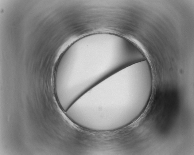 X0000059060910200510281629