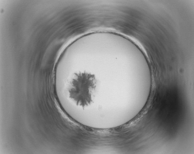 X0000059060911200510281629