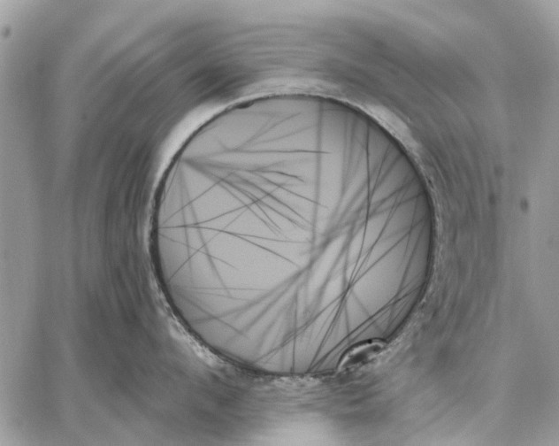 X0000059060912200510281629