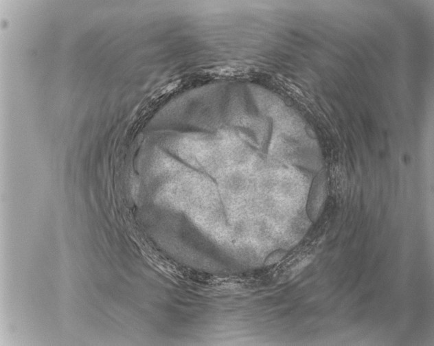 X0000059060913200510281628