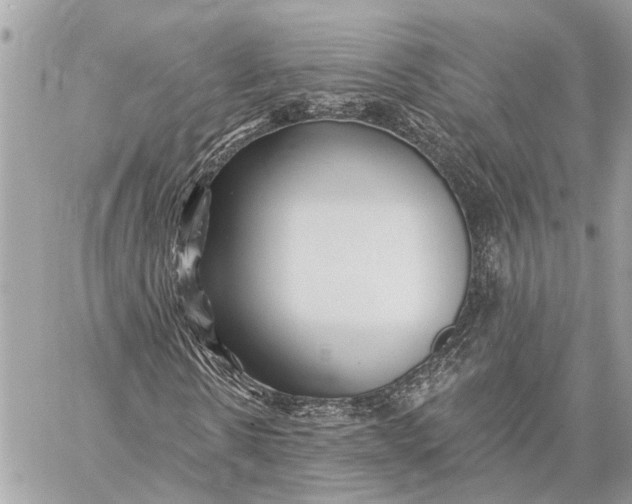 X0000059060914200510281628