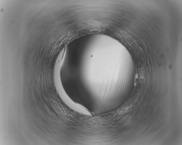 X0000059060916200510281628