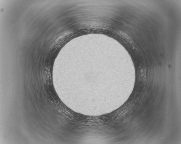 X0000059060918200510281628