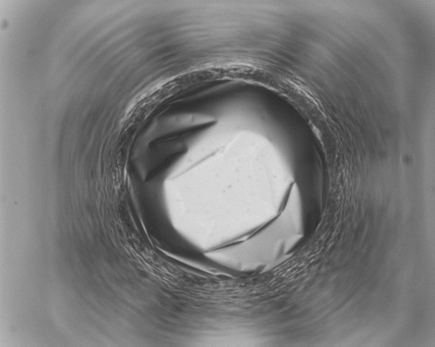 X0000059060920200510281629