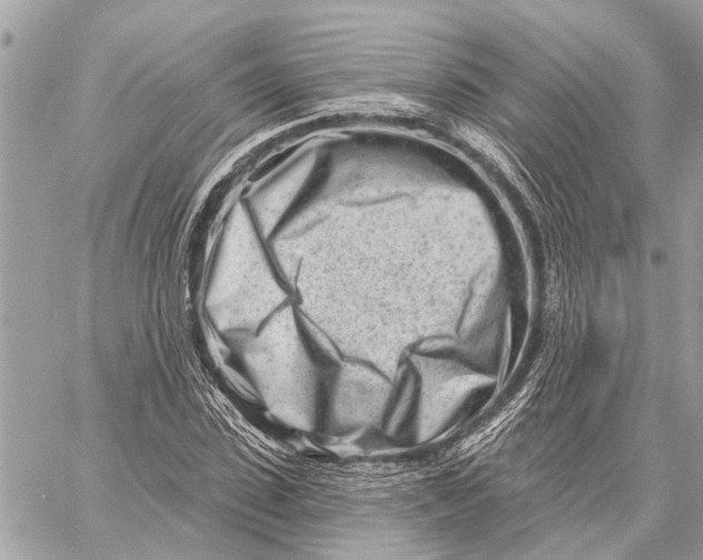 X0000059060923200510281629