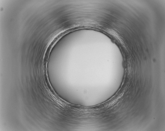 X0000059060924200510281629