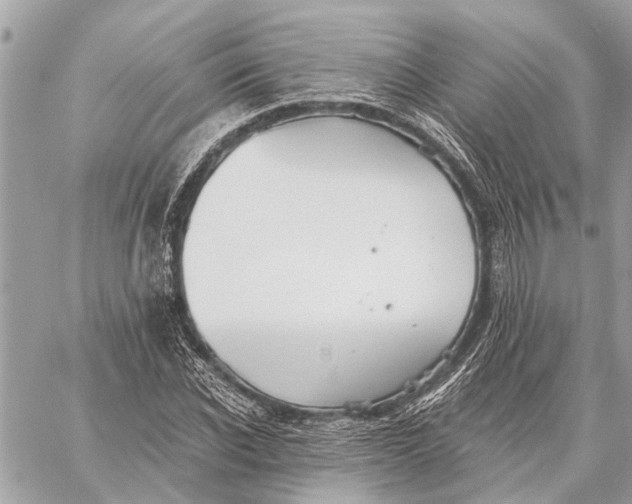 X0000059060926200510281629