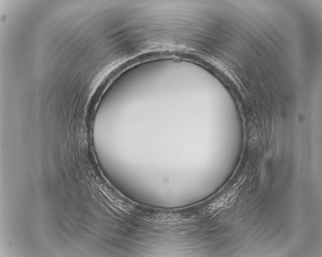 X0000059060927200510281629