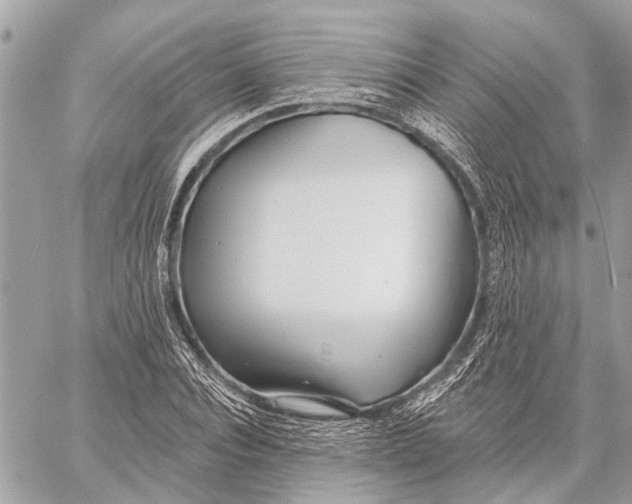 X0000059060928200510281629