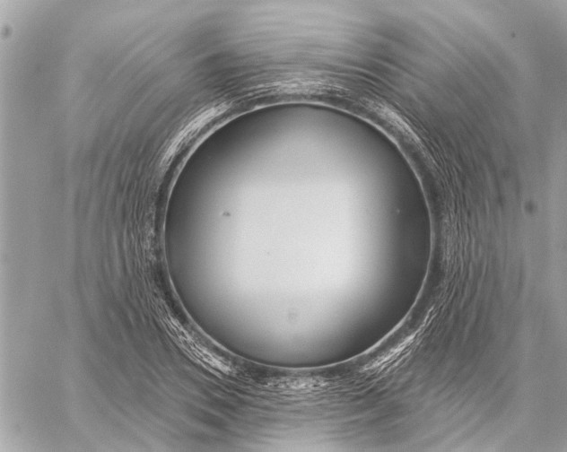 X0000059060930200510281629