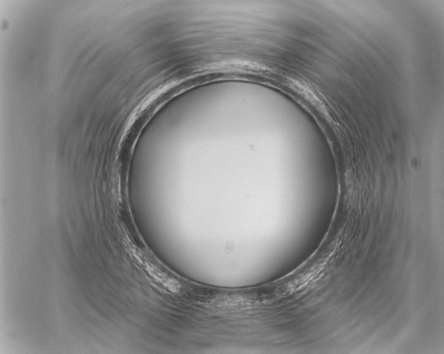 X0000059060931200510281629