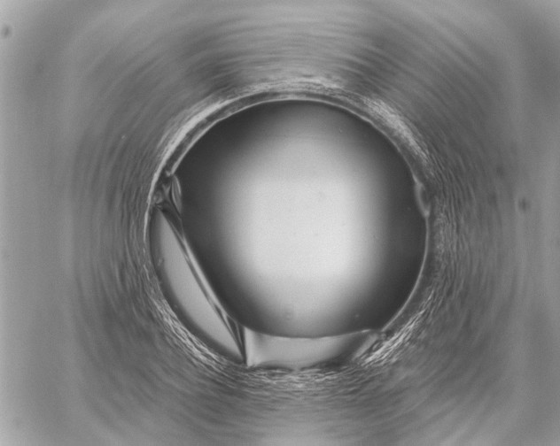 X0000059060932200510281629