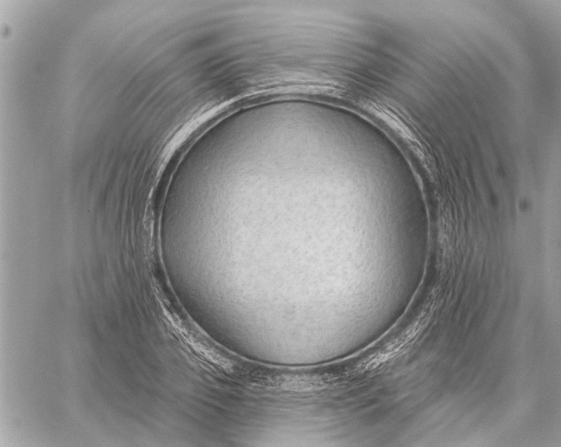 X0000059060933200510281629