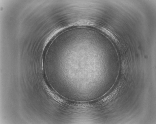 X0000059060934200510281629