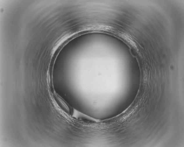 X0000059060936200510281629