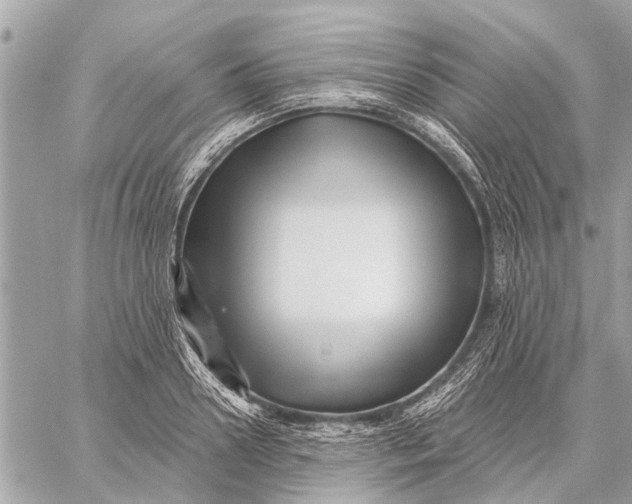 X0000059060938200510281629