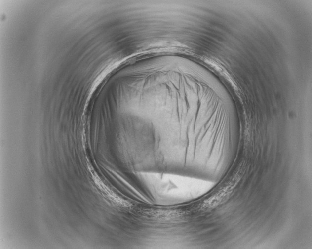 X0000059060941200510281629