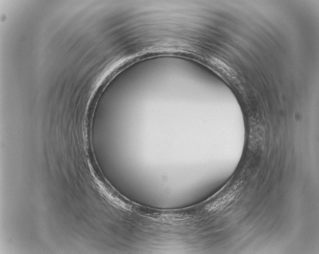 X0000059060942200510281629