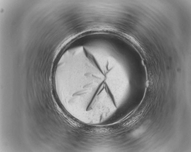 X0000059060943200510281629