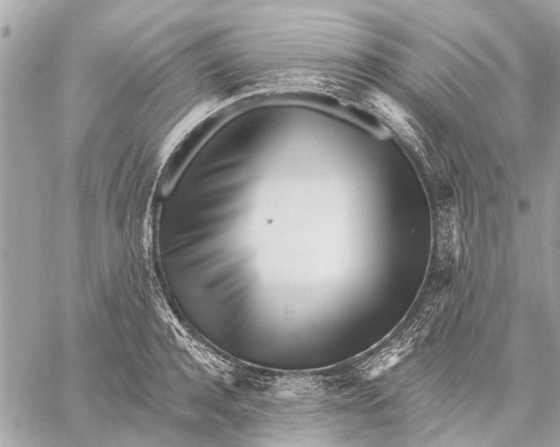 X0000059060944200510281629