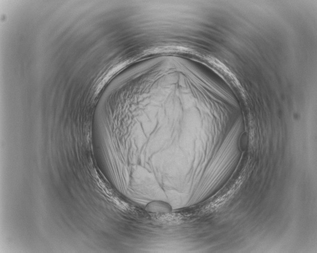 X0000059060945200510281629