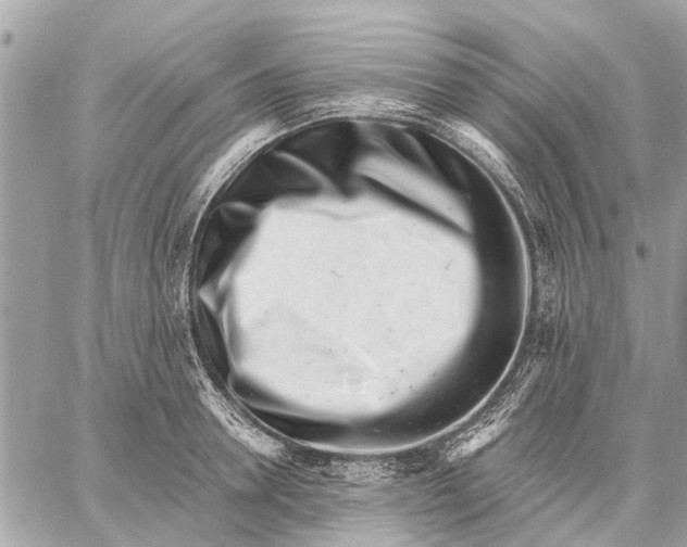 X0000059060946200510281629