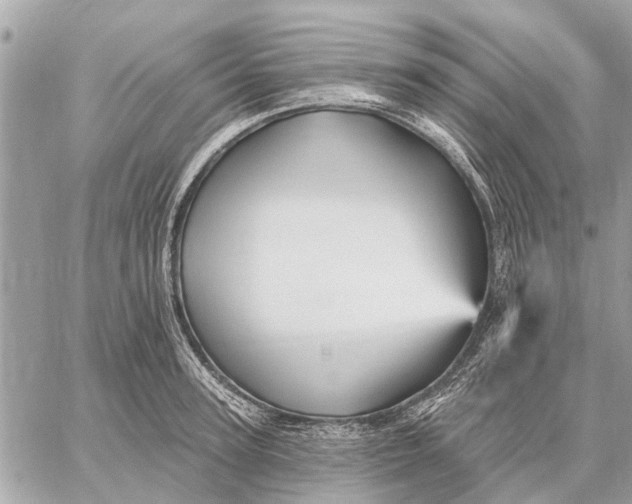 X0000059060947200510281629