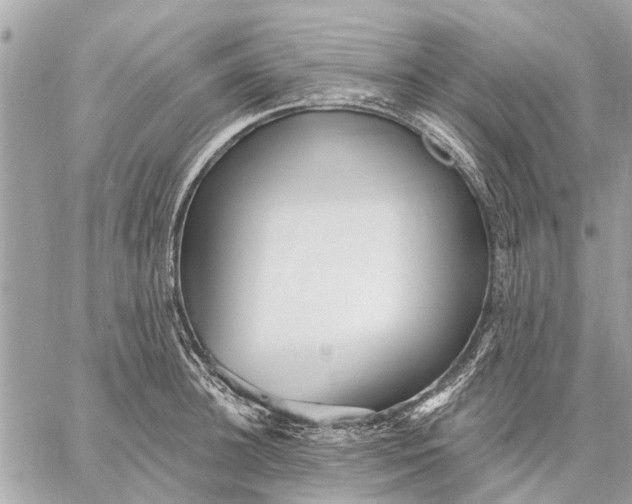 X0000059060948200510281629