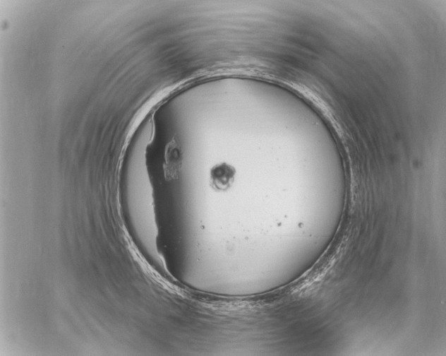 X0000059060949200510281629