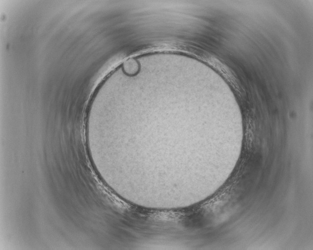 X0000059060950200510281629