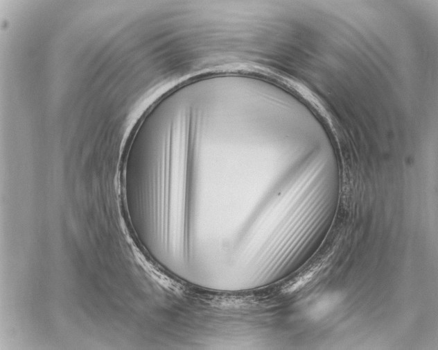 X0000059060951200510281629