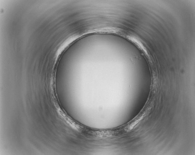 X0000059060952200510281629