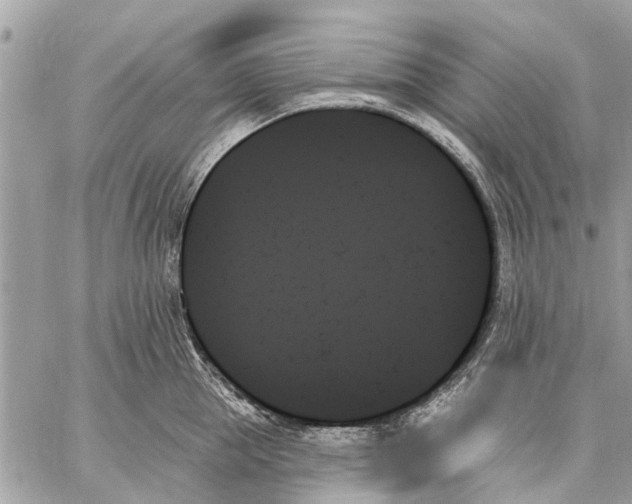 X0000059060953200510281629