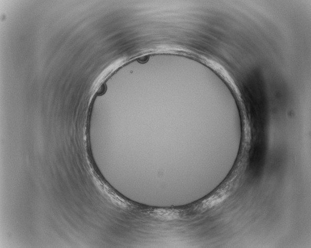 X0000059060954200510281629