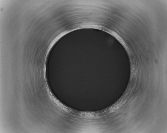 X0000059060955200510281629