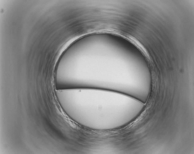 X0000059060956200510281629