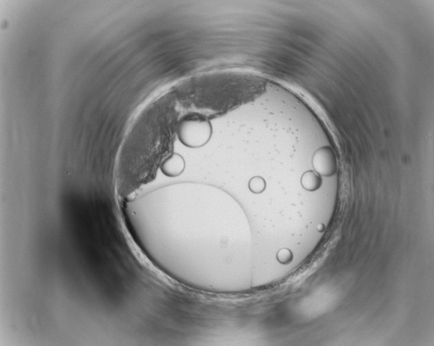 X0000059060957200510281629